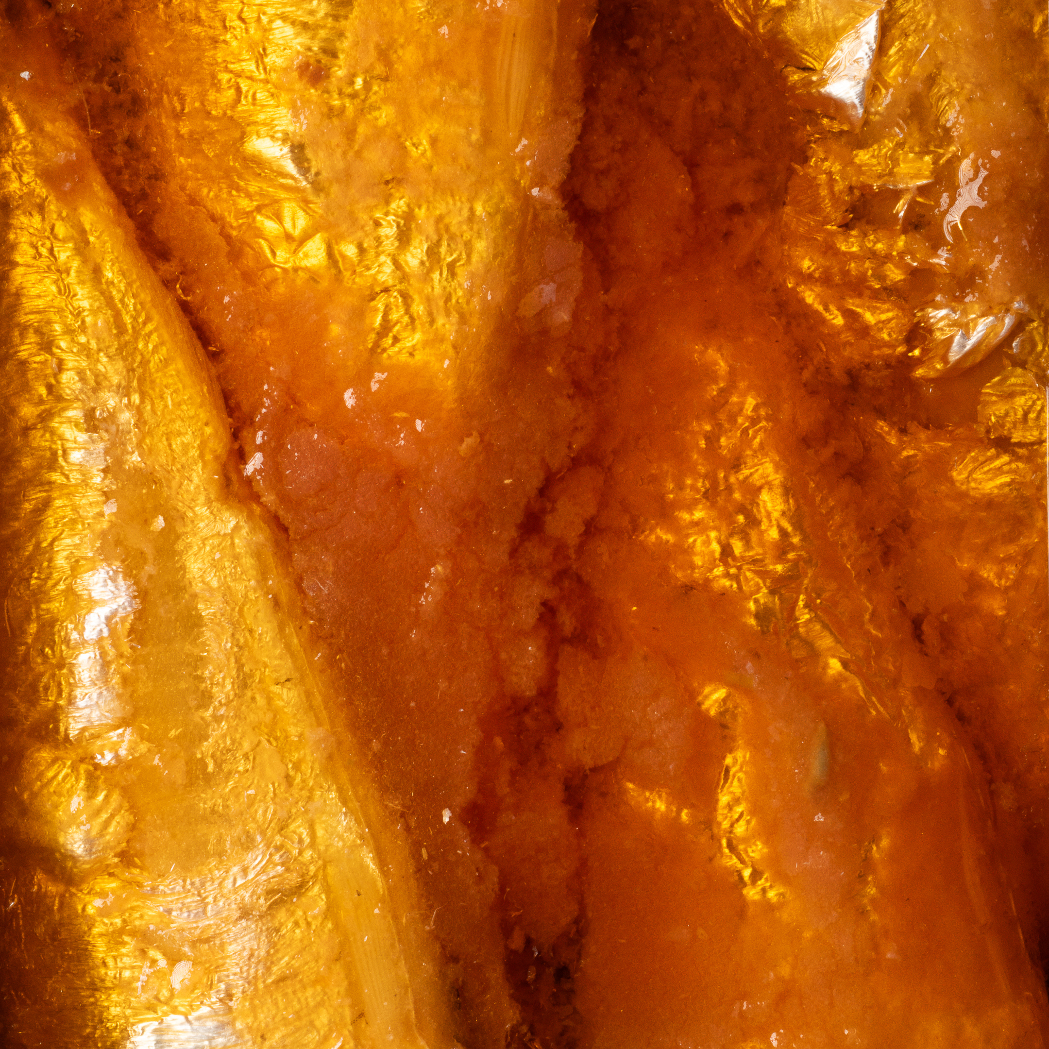 Sardinhas em Molho de Tomate 2